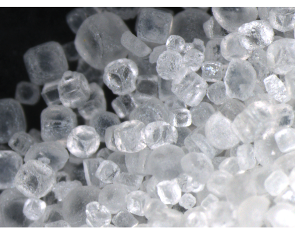 Food Science: Salt