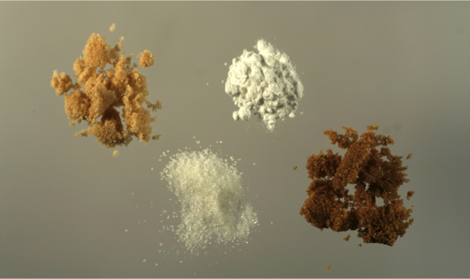Food Science: Sugar