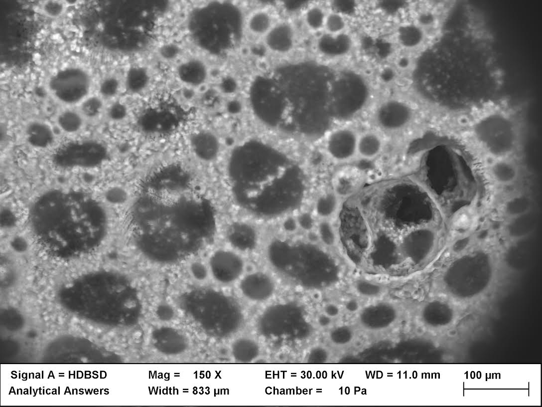 Webinar Recap: Visualizing Hydration and Dehydration of Pharmaceuticals, Foodstuffs, and Other Materials Using Wet Scanning Electron Microscopy