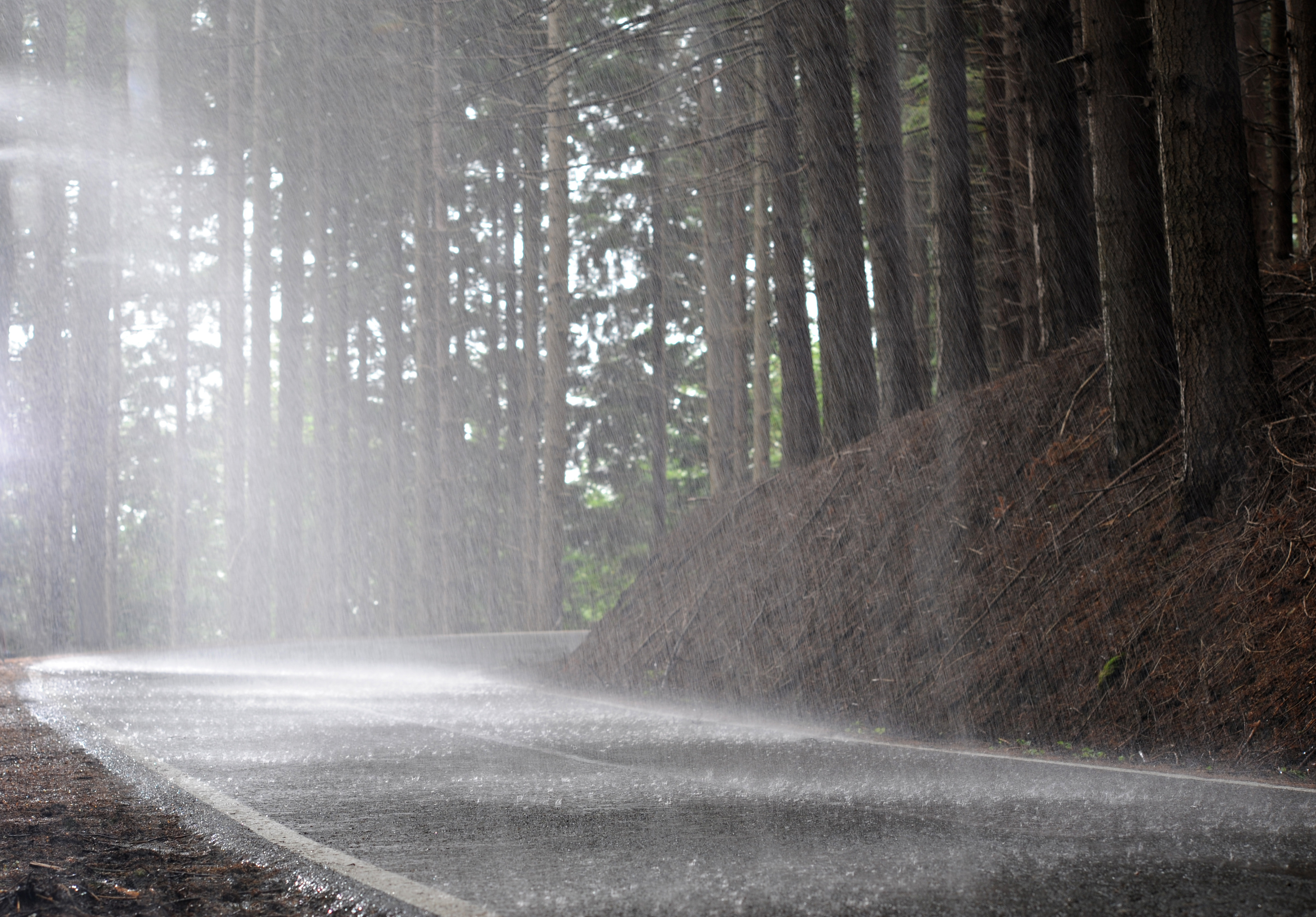 The Science of Smell & The Smell of Rain